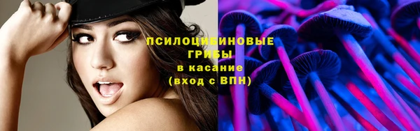 сатива Нея