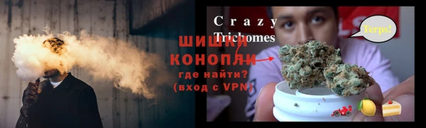 сатива Нея
