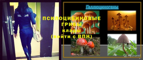 МДПВ Абдулино