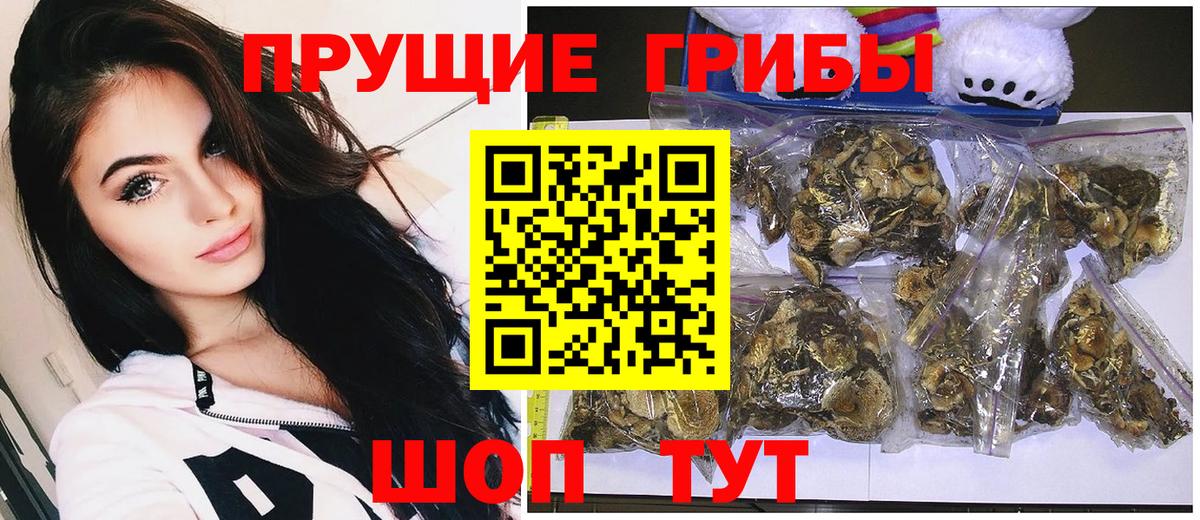 МЕФ   A PVP СК   Бошки Шишки  Кокаин  NBOMe  Таганрог  Гашиш  Вход с VPN  МДМА 