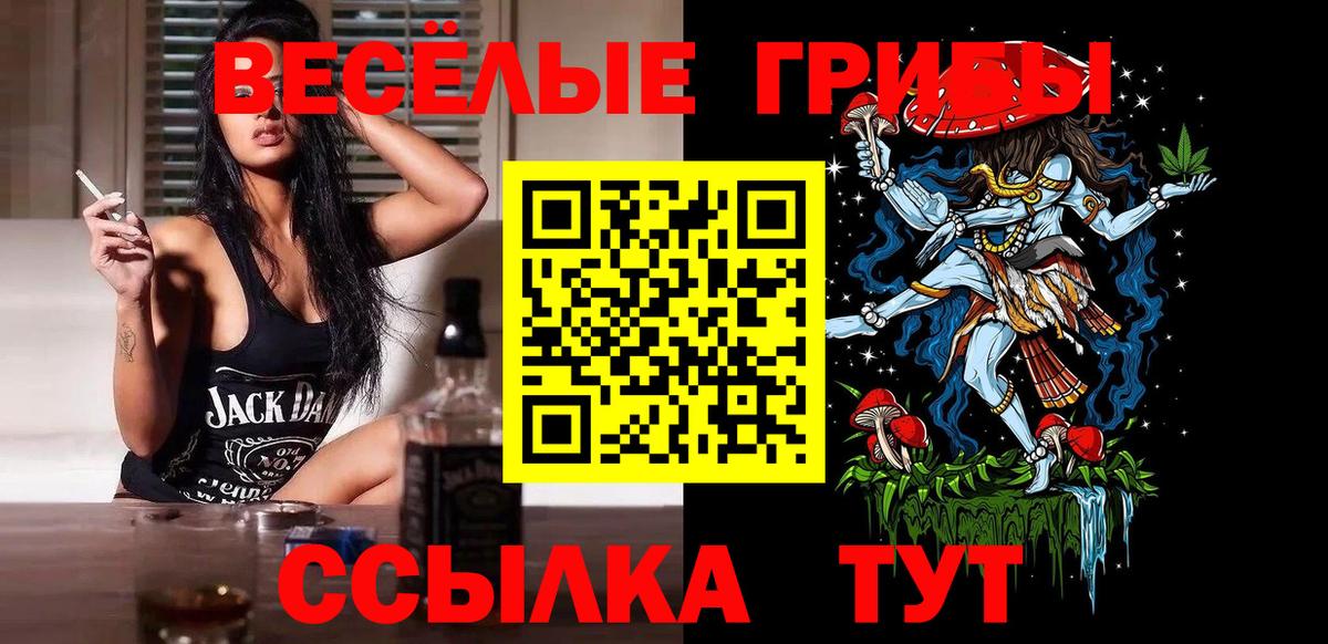 Галлюциногенные грибы Psilocybine cubensis Таганрог