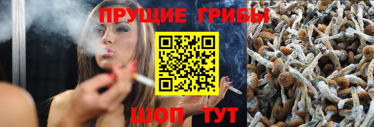 Галлюциногенные грибы прущие грибы  магазин продажи   Галлюциногенные грибы прущие грибы  Таганрог 
