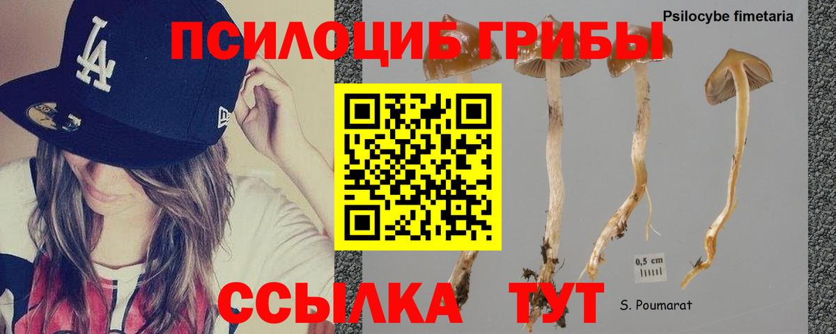 Таганрог  Псилоцибиновые грибы прущие грибы  Вход с VPN 